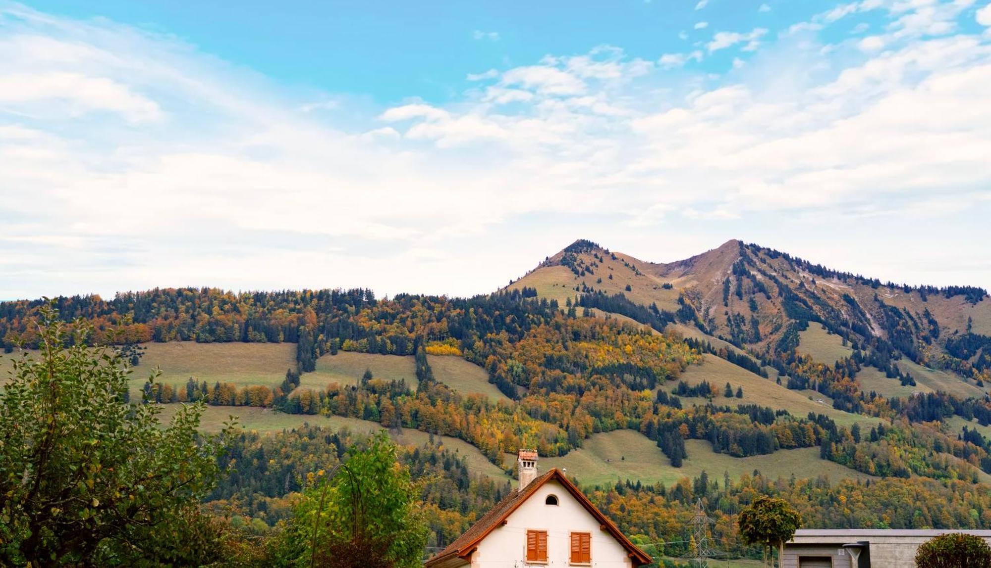 Gruyere Alpes Appartement 3 Chambres Bbq Parking Neirivue المظهر الخارجي الصورة